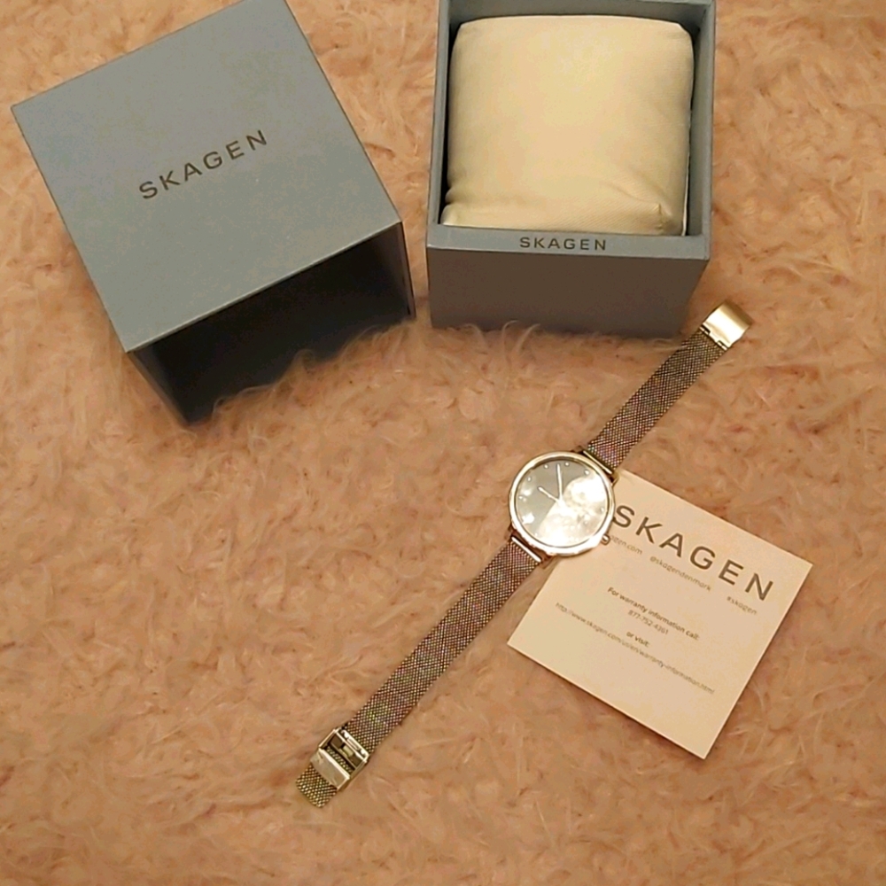 Skagen Women Silver Mesh Bracelet Watch